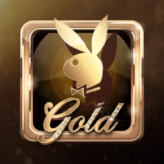 Playboy Gold - JETPLANE168