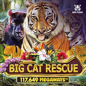 Big Cat Rescue Megaways - JETPLANE168
