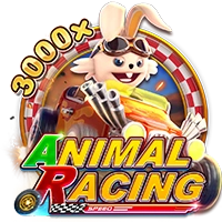 Facai : ANIMAL RACING - JETPLANE168