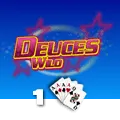Deuces Wild 1 Hand - JETPLANE168