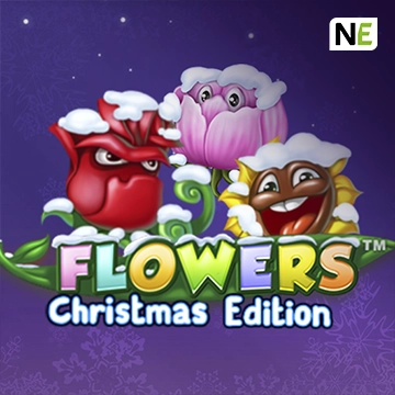 Flowers Christmas Edition - JETPLANE168