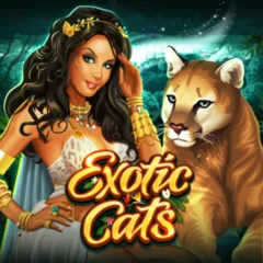 Exotic Cats - JETPLANE168