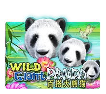 Joker123 : Wild Giant Panda - JETPLANE168