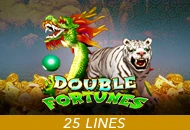 Spadegaming : Double Fortunes - JETPLANE168