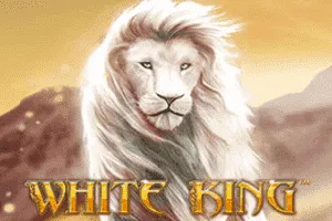 White King - JETPLANE168