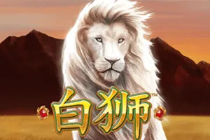 Bai Shi - JETPLANE168