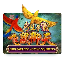 Bird Paradise - JETPLANE168