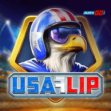 USA Flip - JETPLANE168