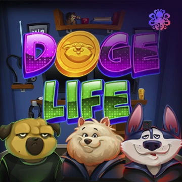 Doge Life - JETPLANE168
