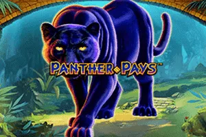 Panther Pays - JETPLANE168