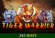 Spadegaming : Tiger Warrior - JETPLANE168