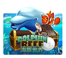 Joker123 : Dolphin Reef - JETPLANE168