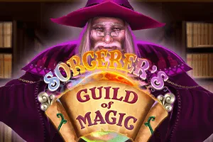 Sorcerers Guild of Magic - JETPLANE168