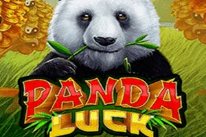 Panda Luck - JETPLANE168