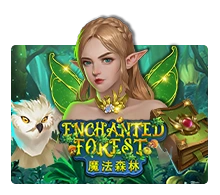 Joker123 : Enchanted Forest - JETPLANE168