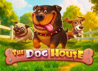 Pragmatic : The Dog House - JETPLANE168