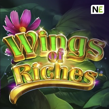 Wings of Riches - JETPLANE168