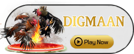 Digman - JETPLANE168