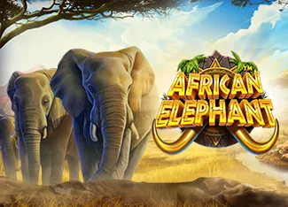 Pragmatic : African Elephant - JETPLANE168